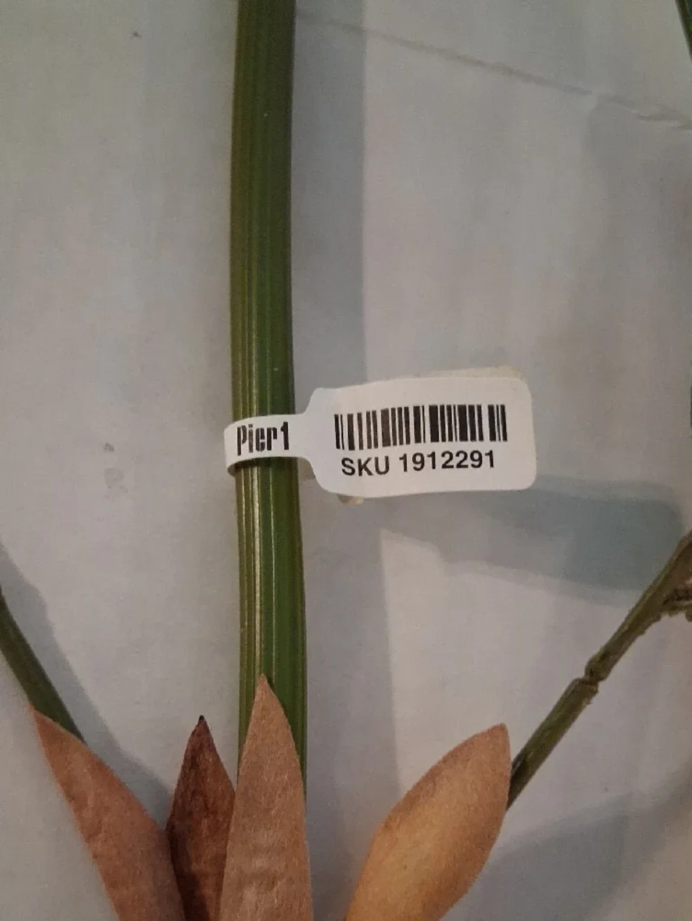 Pier 1 Green Faux Bamboo Stem Spray 46